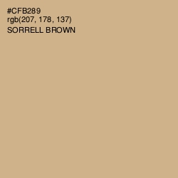 #CFB289 - Sorrell Brown Color Image
